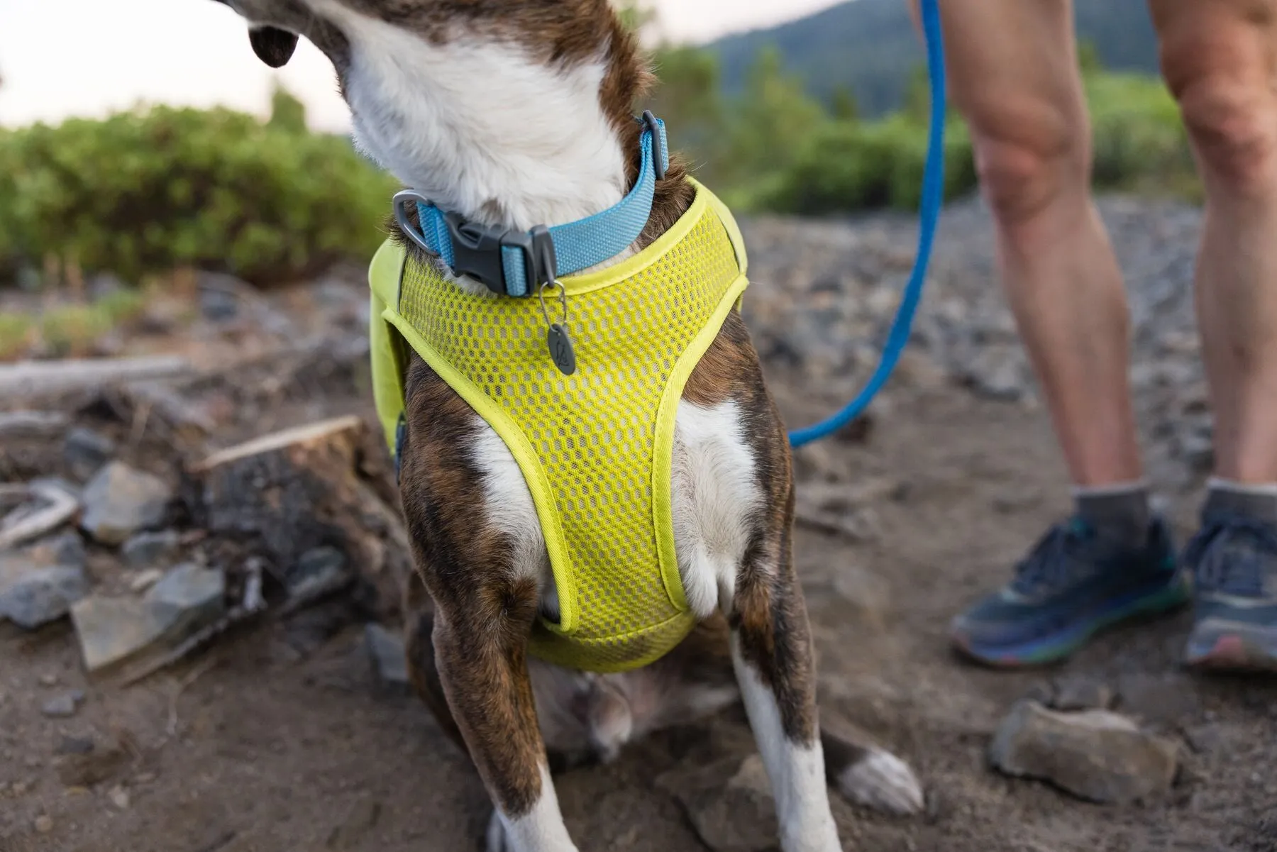 Trail Runner Running Vest